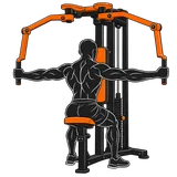 Reverse Pec Deck illustration